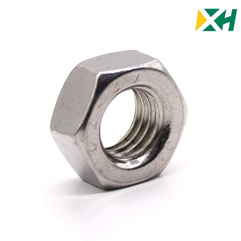 Anhui Gaosheng All Kinds of Styles Nuts Hexagon Head Cap Nuts with DIN934