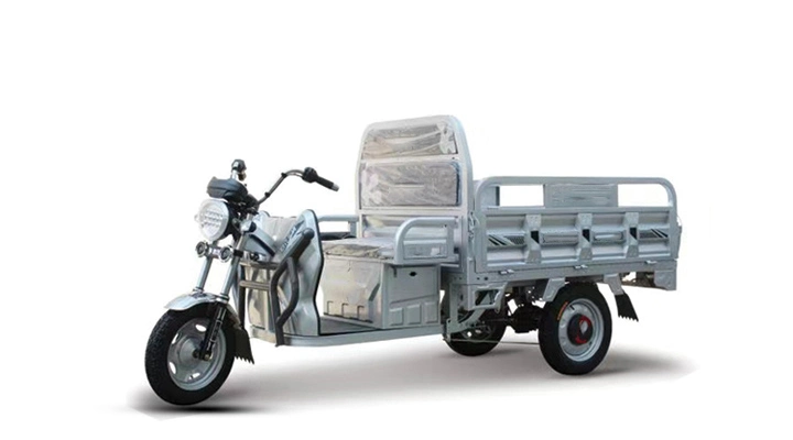 Three Wheel 500W 800W Electric Tricycle for Cargo Factory Manufacture Cheap Price Electric Cargo Tricycle with Mudguards